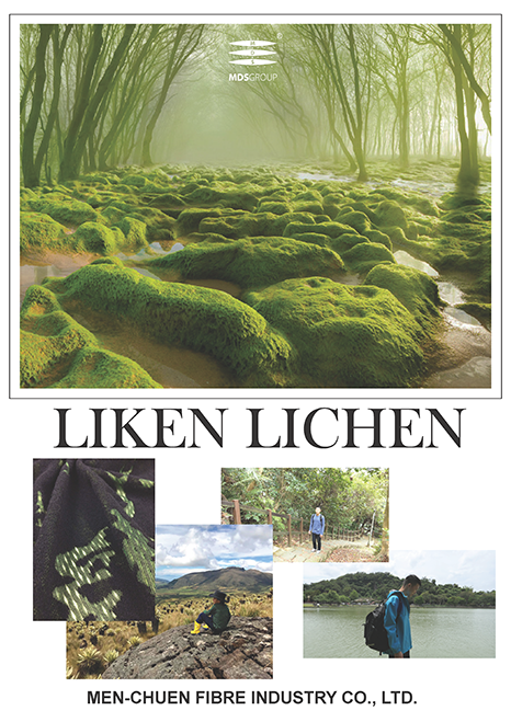 LIKEN LICHEN